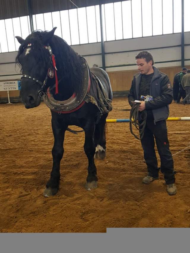 O_Srnik_III_miesto_zrebce_do_5_rokov